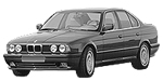 BMW E34 P2124 Fault Code